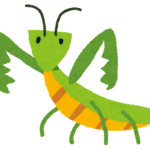 カマキリに引くという選択肢はない